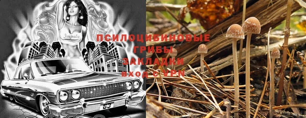 бошки Белоозёрский