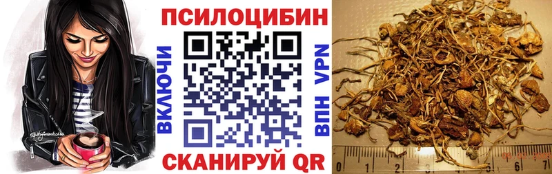 Галлюциногенные грибы Cubensis  Пионерский 